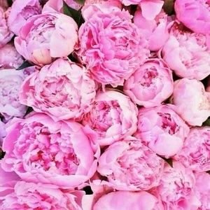 Meet your Posher, Adriana